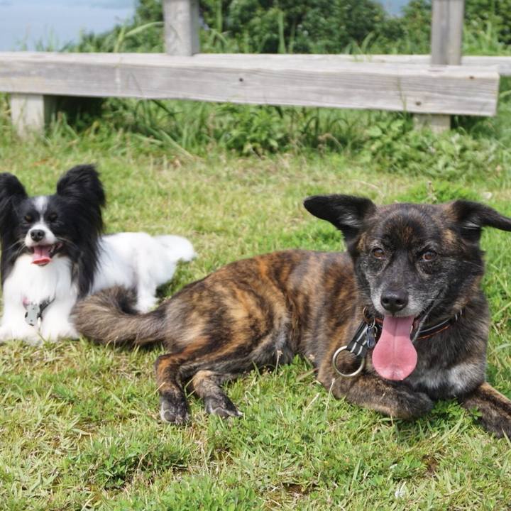 Fbc29305 ec37 4f60 8f13 1291d15e602d 1531269861110