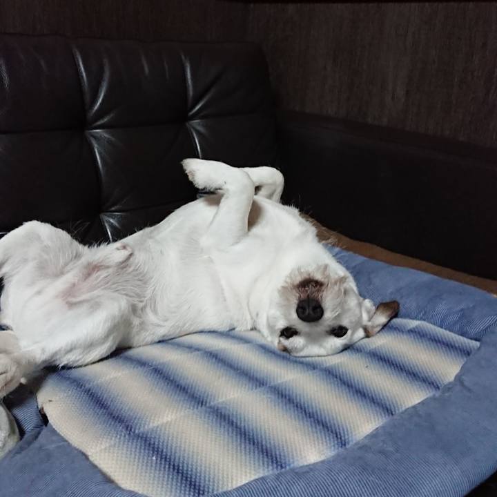 Fbc296b7 997e 4b2a 8a59 5bd0d97b8be4 1567731314335