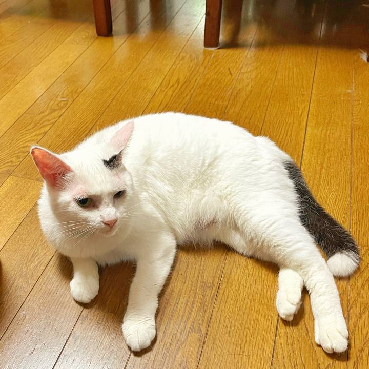 Fbc2ae56 c06b 45b3 9ed8 83aae3105d25 1752533672151