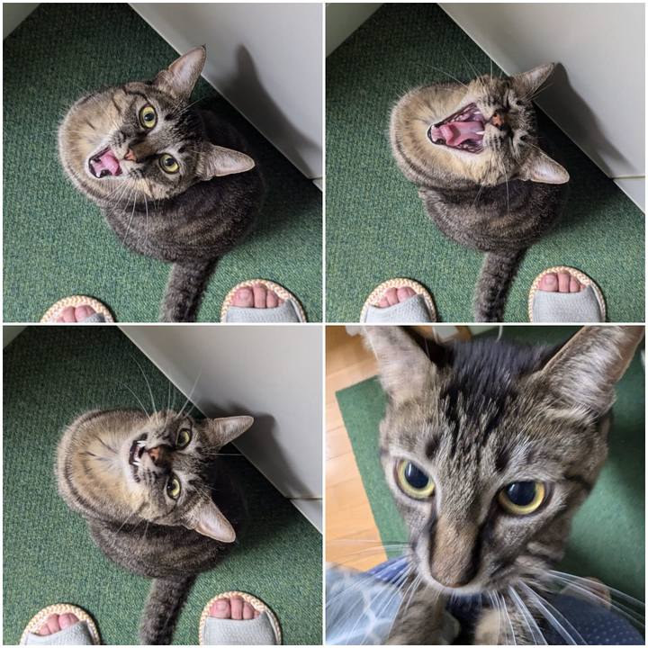 Fbc2b40e 38a0 4417 94b7 5eac7d614e70 1728437000743