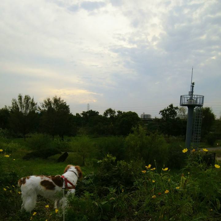 Fbc2dbd4 f41f 41c2 adaa 2924bf574fe5 1538556177077