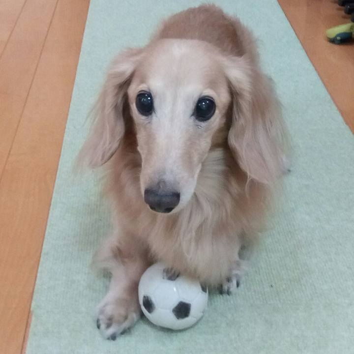 Fbc2e8e3 7b6f 455a abd6 a32198324e50 1543911391376