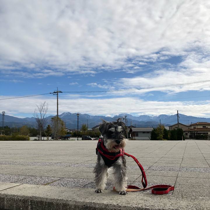 Fbc32c1f f9a1 4929 8f7d 80ea20041770 1573374039533