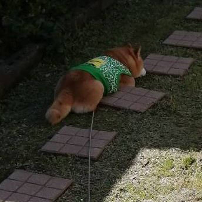 Fbc35ed8 7509 4b4f a92d ba65922c6467 1587980201919