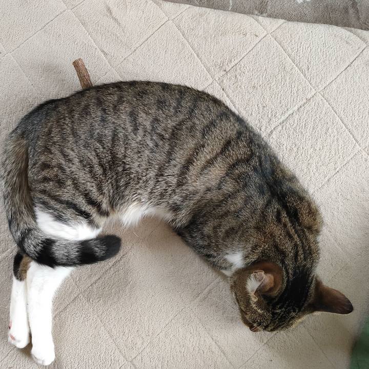 Fbc3604f 4d62 472c b3b3 19d6e2ac31e5 1680853194665