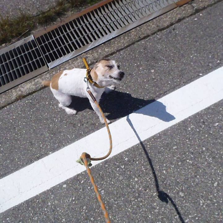 Fbc39fe5 e9d2 40ec a89b f6dc9d021e6b 1526096430729