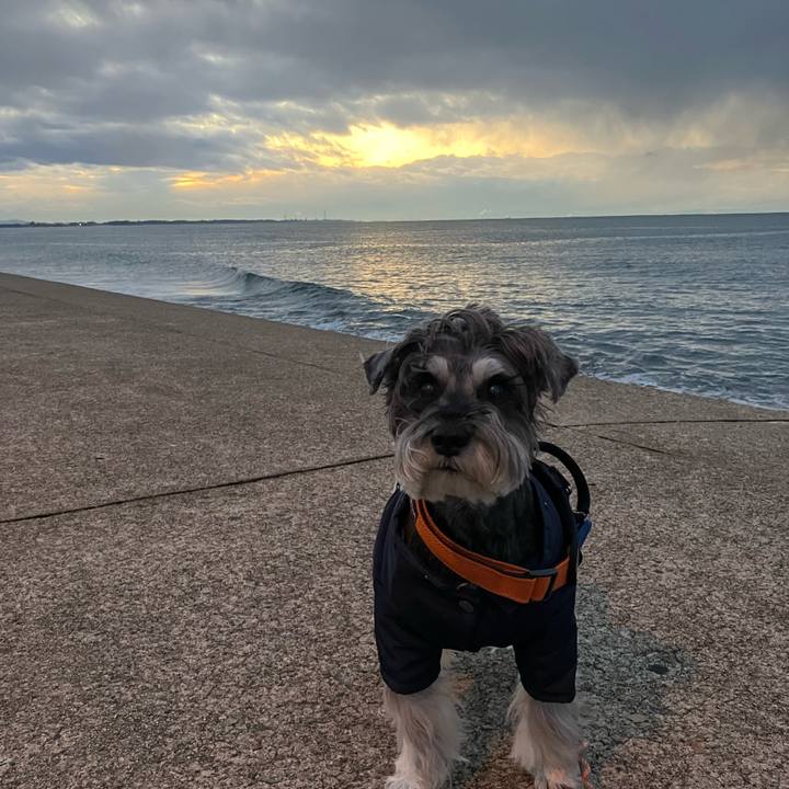 Fbc3b470 bc89 4974 b273 663b8100dd4d 1766847555591