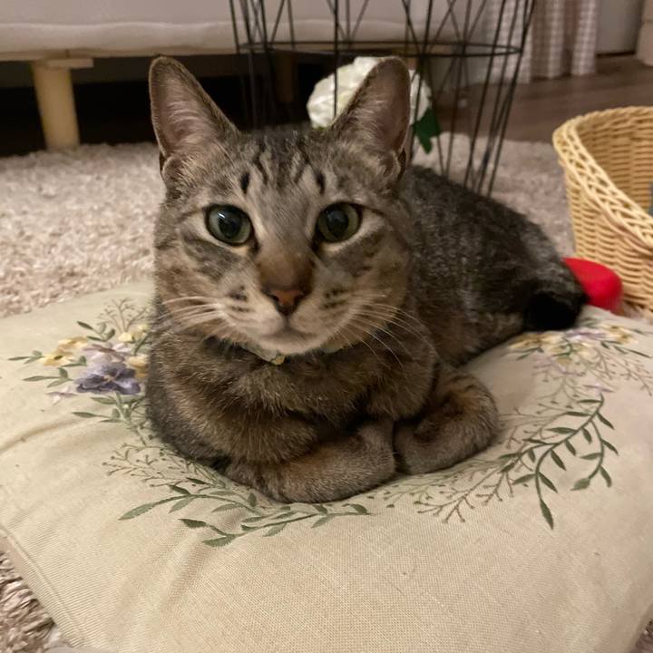 Fbc3c5ec 875d 4330 b999 a751f93e72da 1687672348722