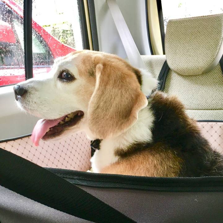 Fbc3ddff 8a6c 49e5 9628 cc390552f583 1755909009897