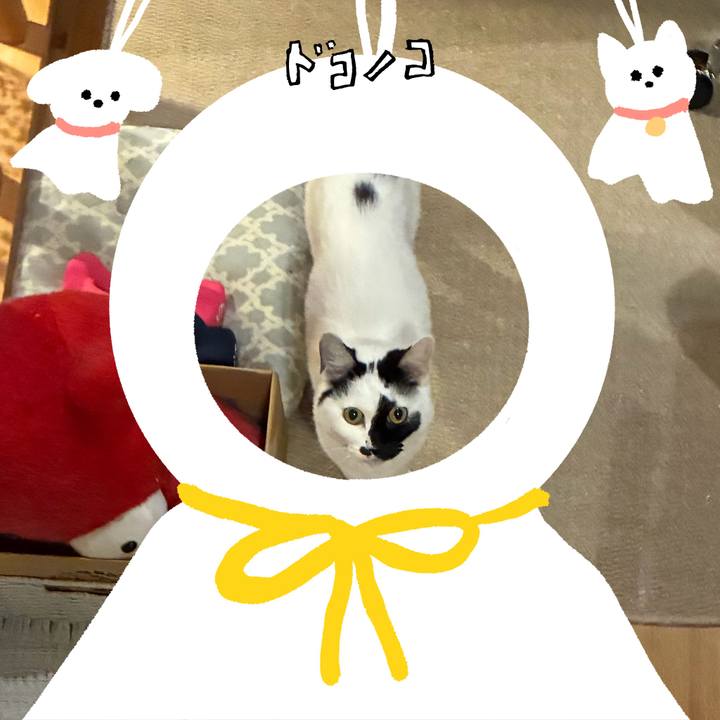 Fbc3e8aa 38f1 495b b6df 5ecebad3d9db 1781705127982
