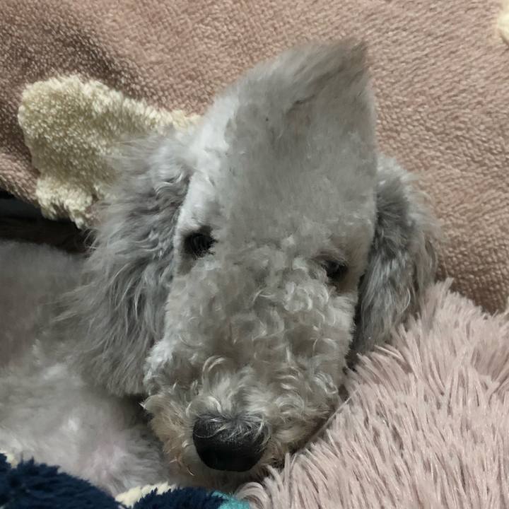 Fbc3eed9 2056 45a3 8a1a 3b3e0a45e23a 1576405932072