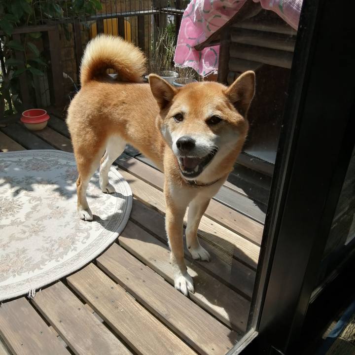 Fbc4053c 2d93 43ff a4b3 a1b391c325d3 1597544406602