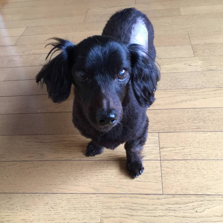 Fbc4241c 5f5e 4908 8d91 32f23aea34cb 1551824783394