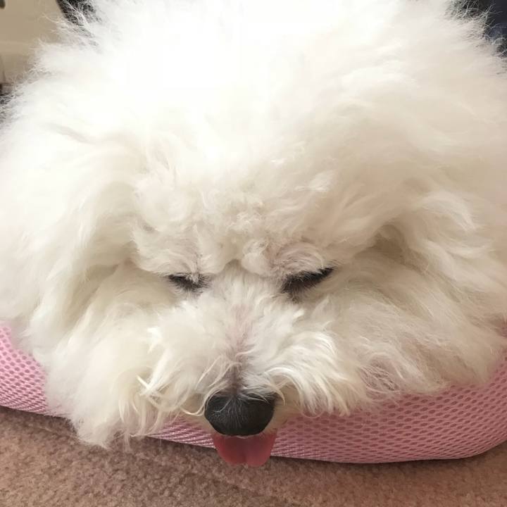 Fbc44802 4f1d 4b71 a5c7 0015654f91ee 1537236562594