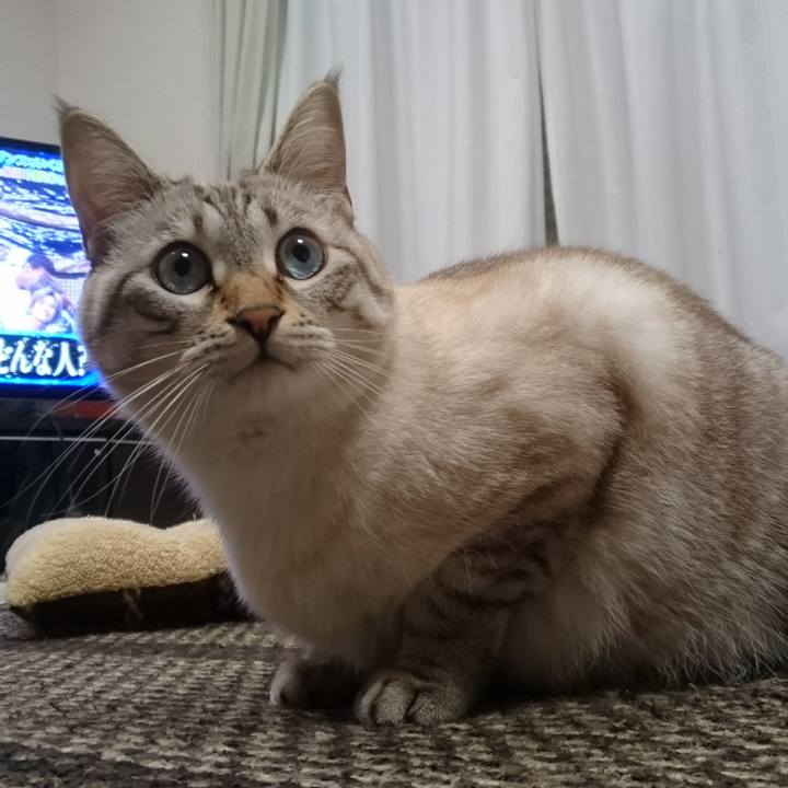 Fbc46319 27bc 49d8 abdf a62e74d92695 1509110864717