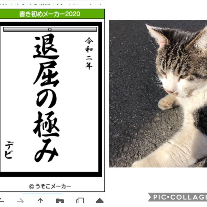 Fbc4733f 80e6 40ee a317 376445b8fefb 1577973908479