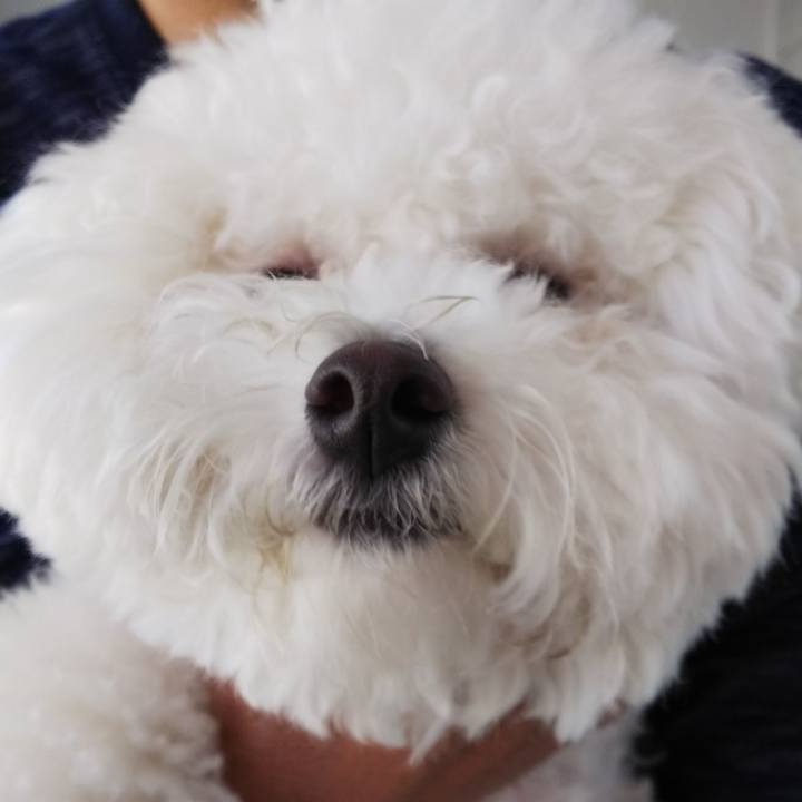 Fbc47588 245f 4991 82d7 23a07f13fbc7 1524352037161