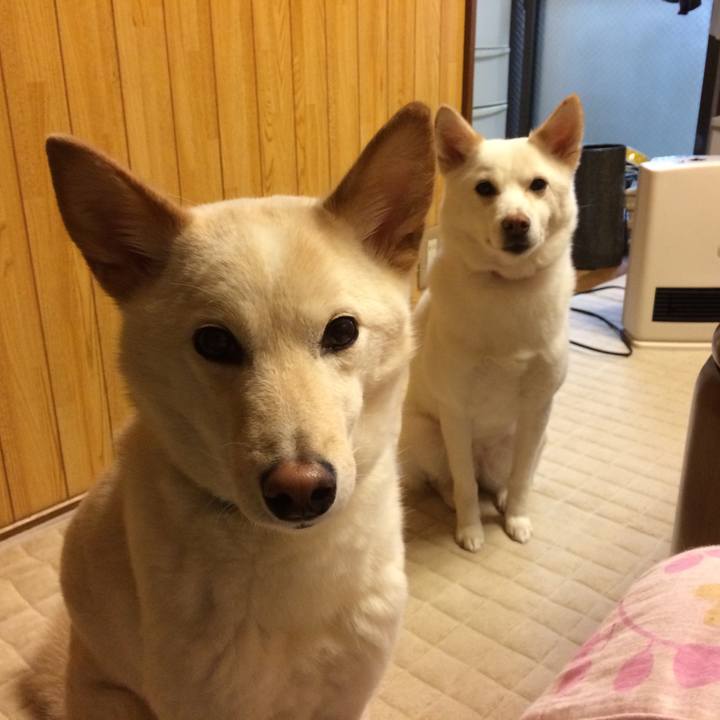 Fbc47feb 5545 4c91 a11f bf58bab5b28b 1521697258734