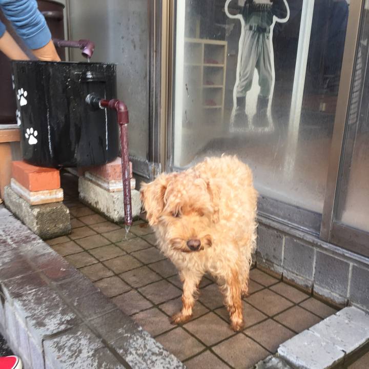 Fbc4a6db 535d 43db acb9 044575812b51 1508549483788