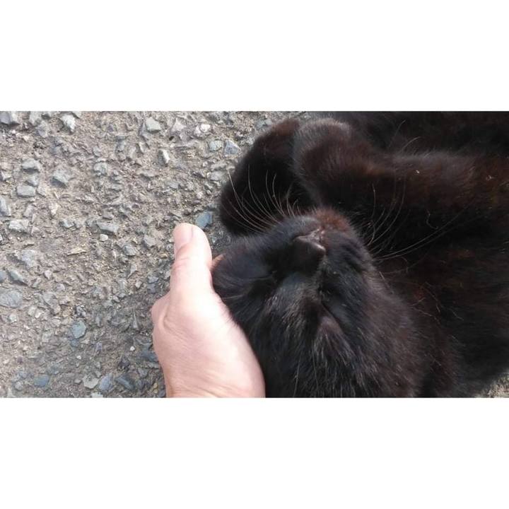 Fbc4ea34 b0b1 486d 88c5 4e81ad8a5c14 1635843219052