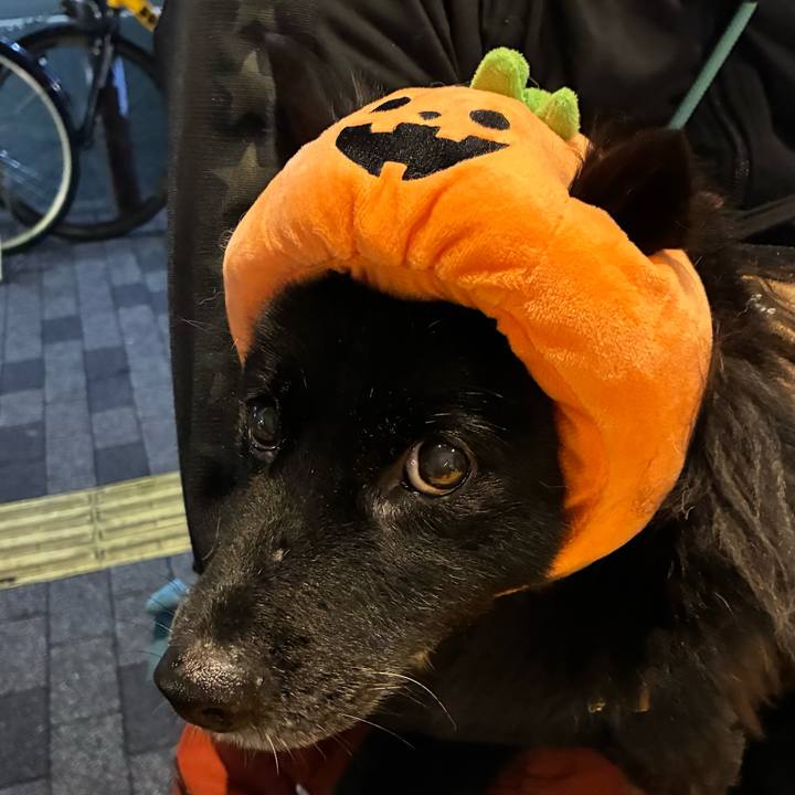 Fbc4fdae 98bc 4f52 9215 268b54c08d2f 1761908282225