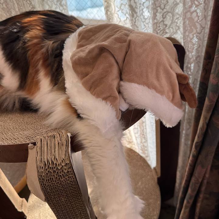 Fbc52035 42d4 4a85 a53c bface15bb959 1765591072734