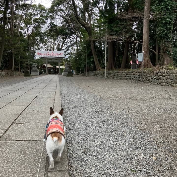 Fbc53481 f811 4d0b 9768 5e7592a9a276 1705879584767