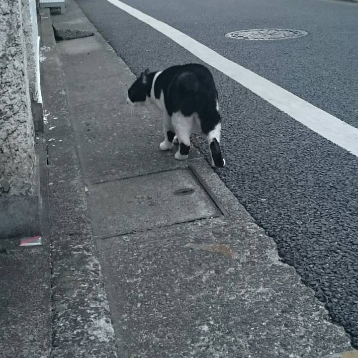 Fbc55a22 428d 425a 99c1 95873b281de1 1520154113232