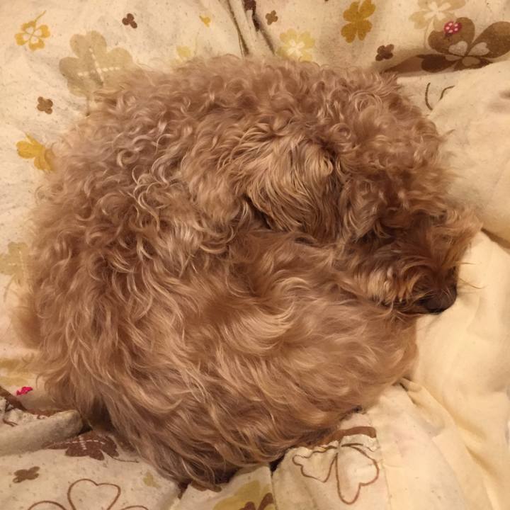 Fbc55d00 fb3a 49f9 acd6 233bc8a30767 1518700693754