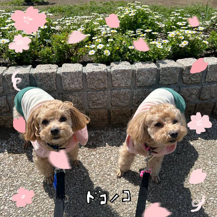 Fbc5af95 ba8e 4c51 b9ef c0a45811f07f 1744279029532