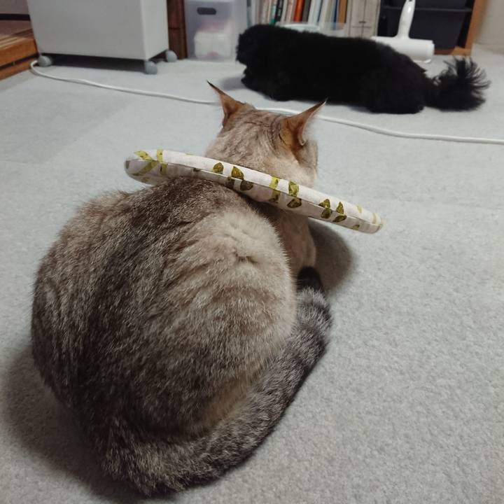 Fbc5b19c b03e 4828 ac9d 2cfc4c3dbc59 1561977450835