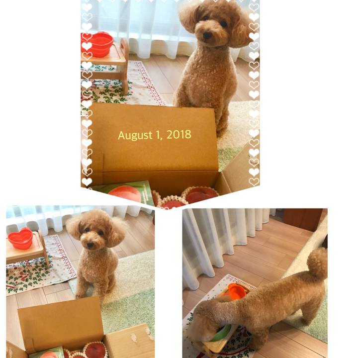 Fbc5de26 0be7 4e90 b948 b8463eb8c832 1533127319621