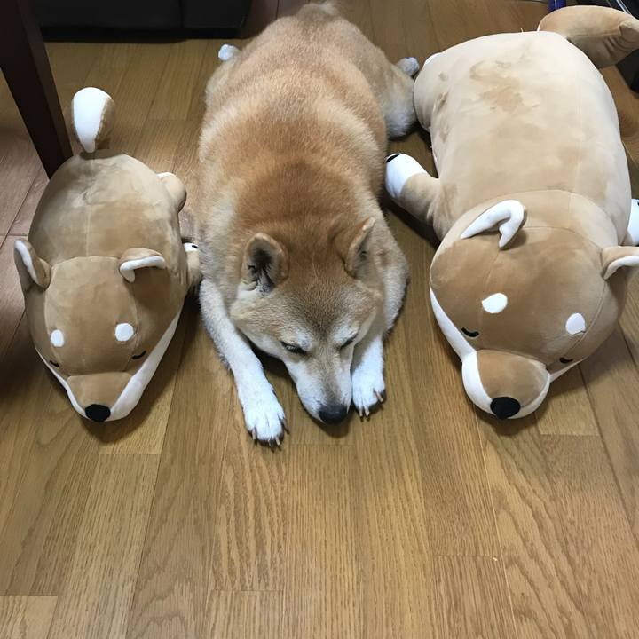 Fbc5e079 a778 4fd1 9299 db1407843f33 1535334645327