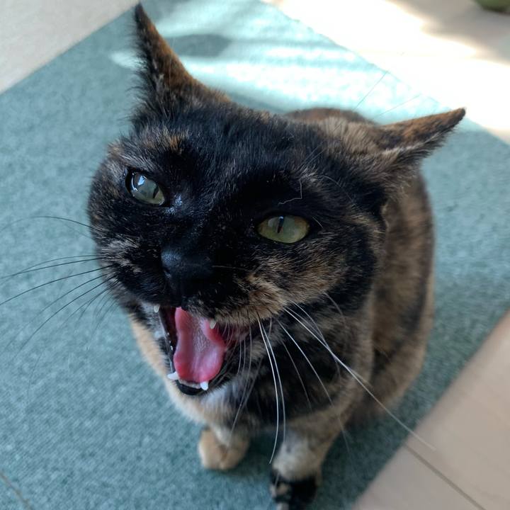 Fbc5f088 de12 4fa5 b4dc 1ced21c19905 1579398715130