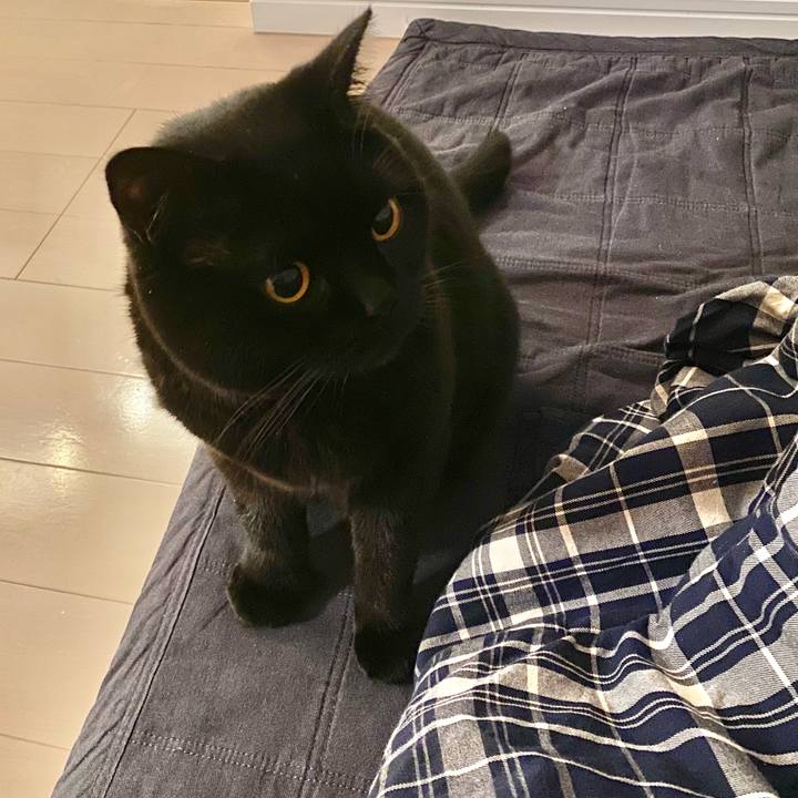 Fbc5f9f9 1c6c 4d1e 9b9d 4c16cb62a0f3 1639133014352