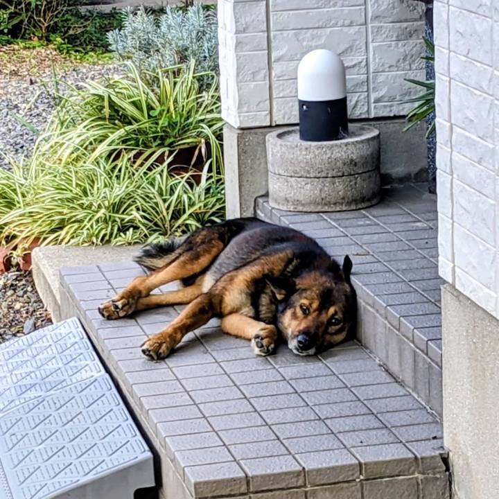 Fbc61ff9 bb77 44da 8cee c080c7a1f2a7 1763469728505