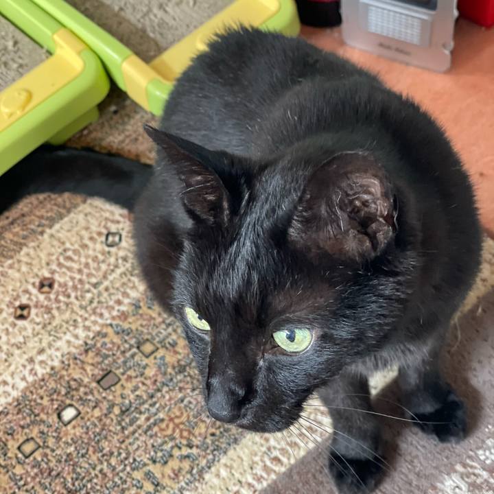 Fbc62204 bcaa 4c14 a8d5 8a0a68866ceb 1655777484974