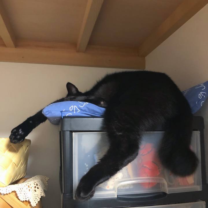 Fbc653a9 4c3d 44ac 9068 12e19c497495 1543931325867