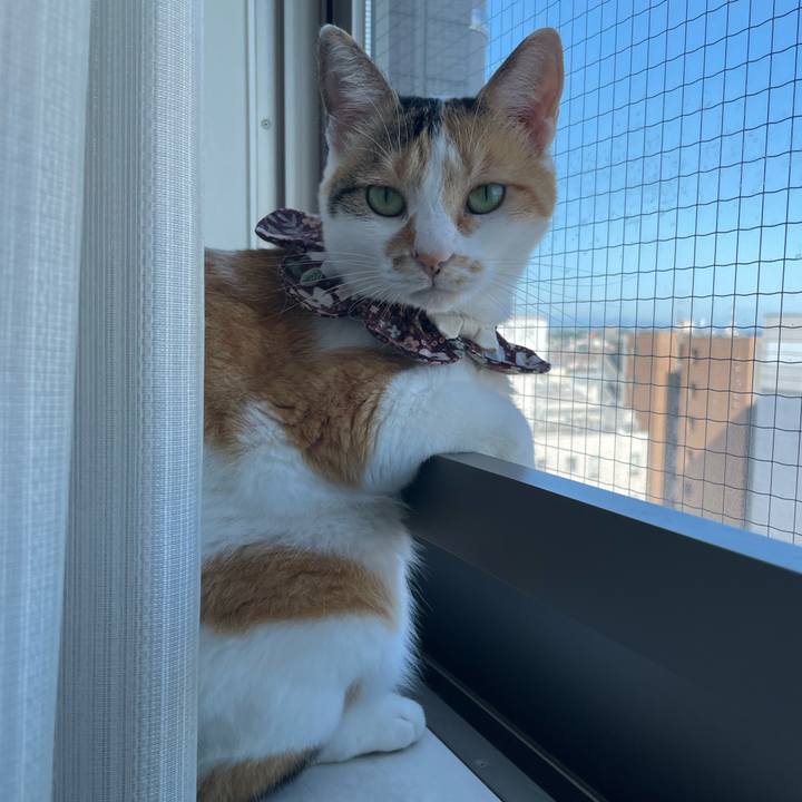 Fbc66b04 b91f 4fd1 a3f1 e698b6c09a6f 1754609412516