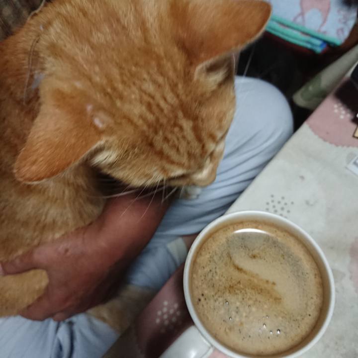 Fbc68997 e5ee 4786 9e4f 0ec60c857477 1594064787199