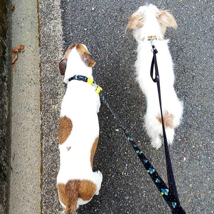 Fbc6bda2 c76c 4161 8e5c c0850e1debf5 1534550367739