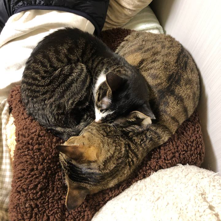 Fbc6e214 c252 4d2f b325 3ceb97ad25d7 1610655934506