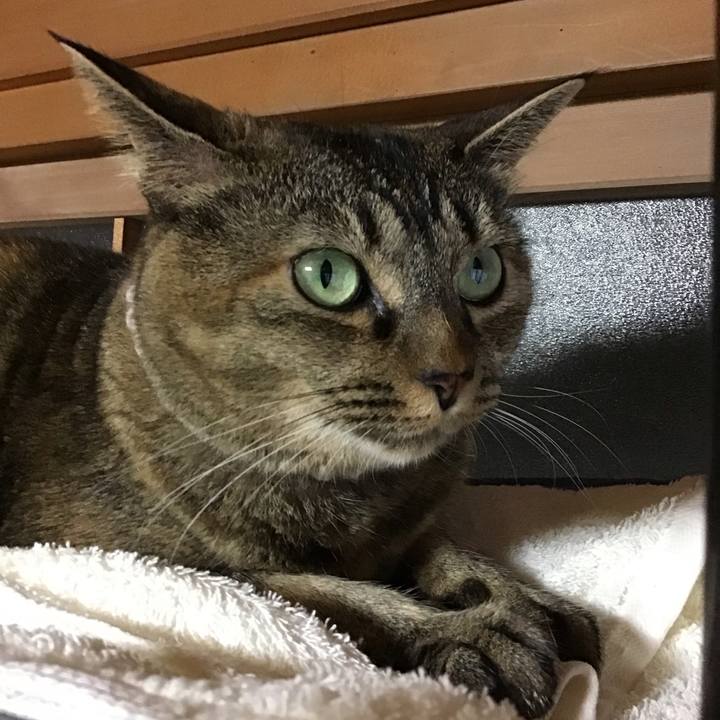 Fbc6f391 1179 4424 b7b0 593e88e477e2 1694004839473