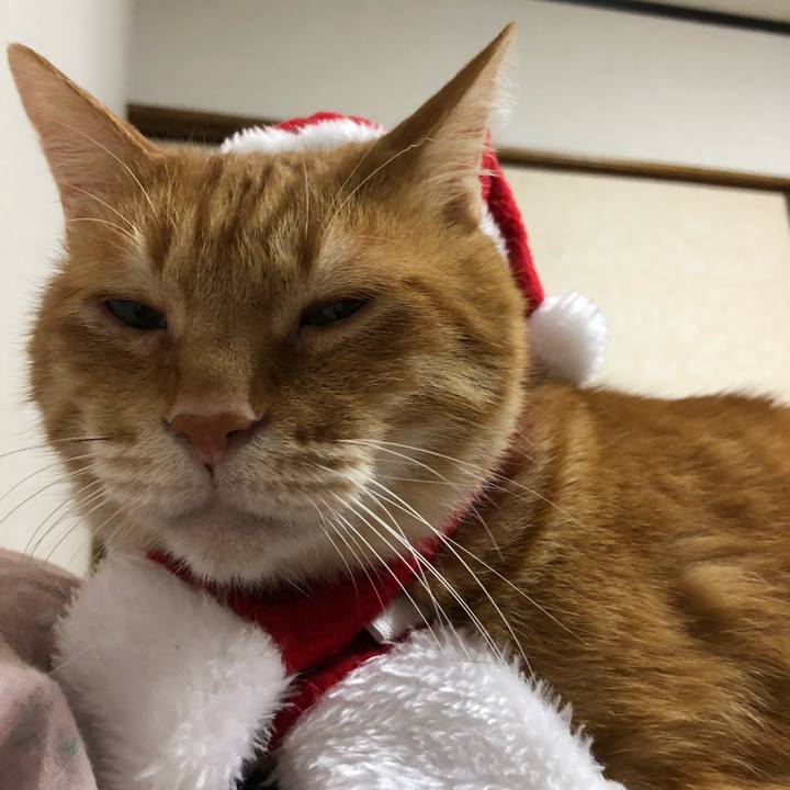 Fbc7081a 8cd7 46df 98af 0ce921363f09 1637322961739