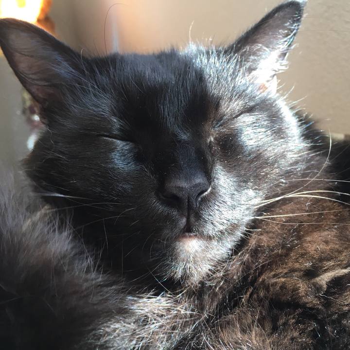 Fbc710f0 c2d5 4663 b63a d45bd15e31ef 1568529933935