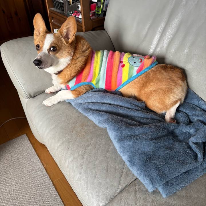 Fbc72761 3f2b 4ad1 99a0 08e58642d4fb 1773037237293