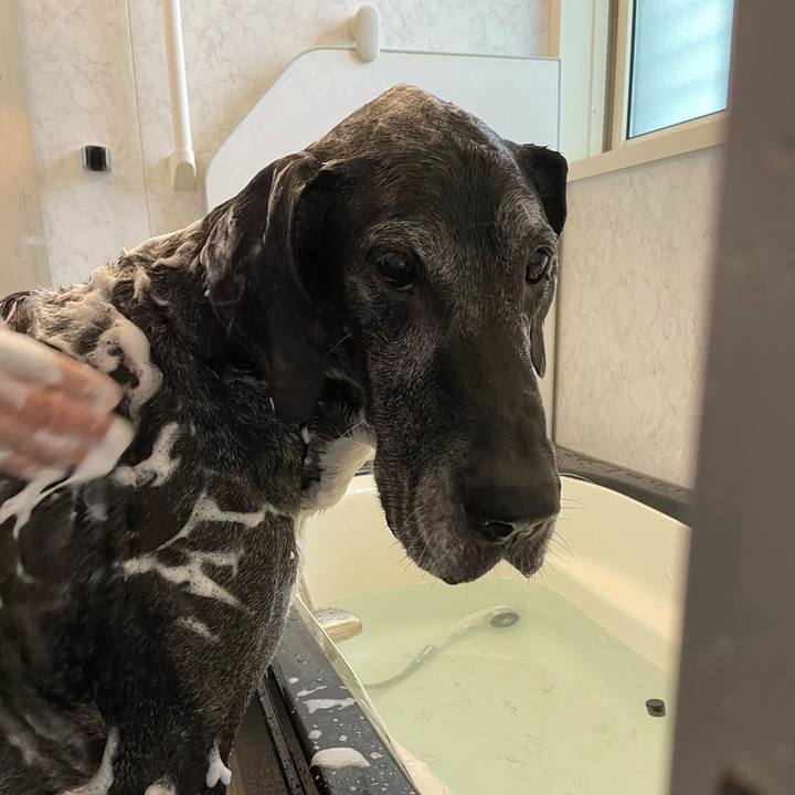 Fbc77986 3f34 4630 ac64 6a0ec6d294aa 1617497663073