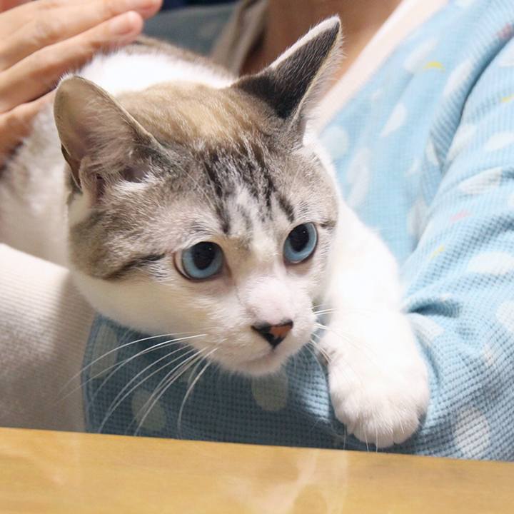 Fbc7dc71 2bbe 435b accc 0994a4245064 1643931428509