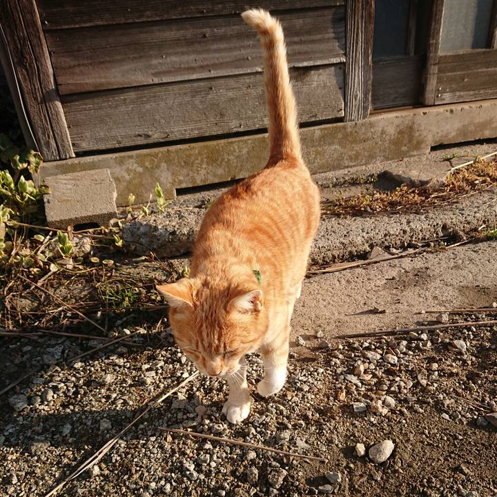 Fbc7fae3 5951 4519 9416 32bc8870738a 1586384326316