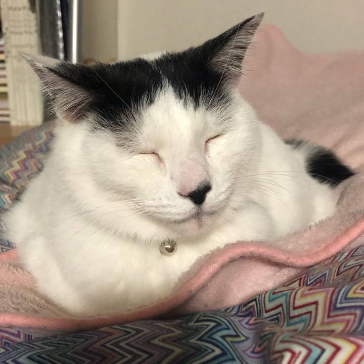 Fbc80920 3ad1 4ca8 b51c 5f9656bcc264 1572447865533